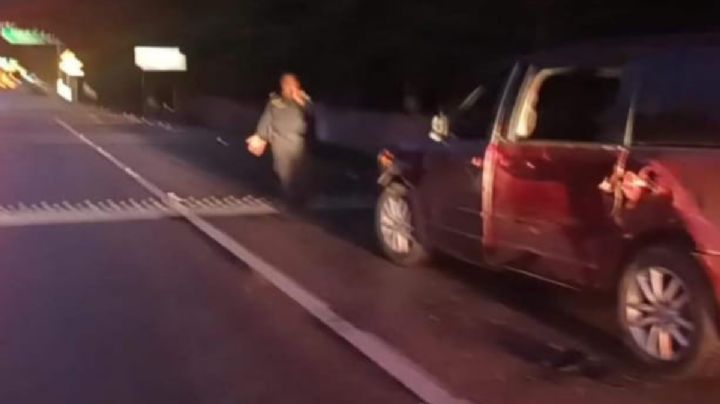 Caballo muere al estrellarse con una camioneta en la vía Mérida-Valladolid