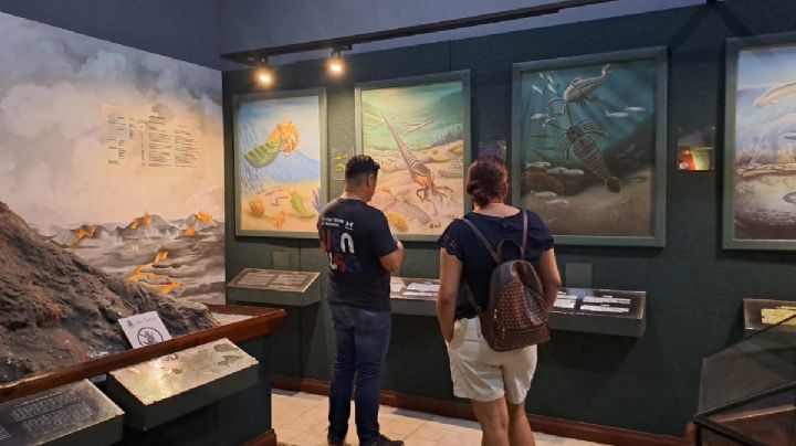Museo de Historia Natural en Mérida espera a visitantes para revivir datos de la evolución