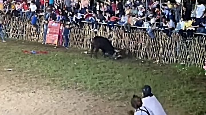 Toro destripa a un caballo durante un torneo de lazo en Sitpach, Mérida: VIDEO