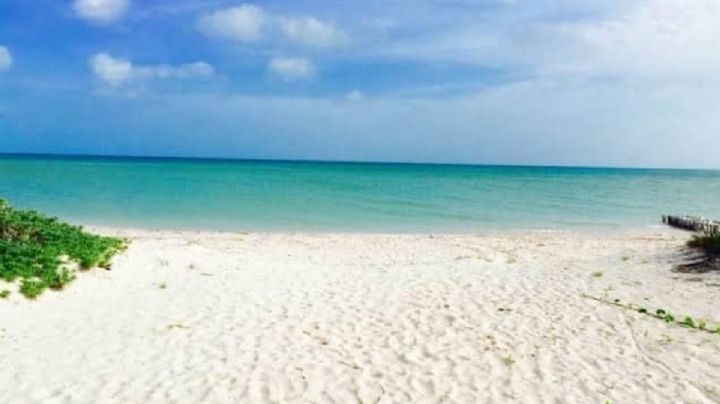 Playas de Yucatán son aptas para uso recreativo: Cofepris