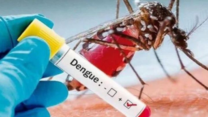 OMS preocupada por el aumento de casos de dengue especialmente en América