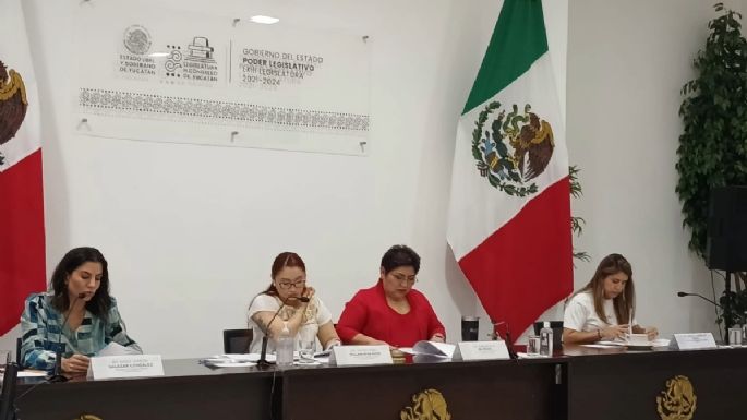 Organizaciones civiles de Yucatán proponen candidatos para titular de la Codhey