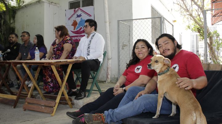 Perritos tomarán las calles de Mérida; anuncian caminata en pro del bienestar animal