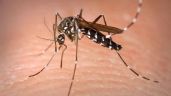 Yucatán registra 100 casos de dengue en lo que va del 2023