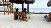 Ni el sargazo impide a bañistas de disfrutar de la Playa en Cancún este domingo de Carnaval: EN VIVO