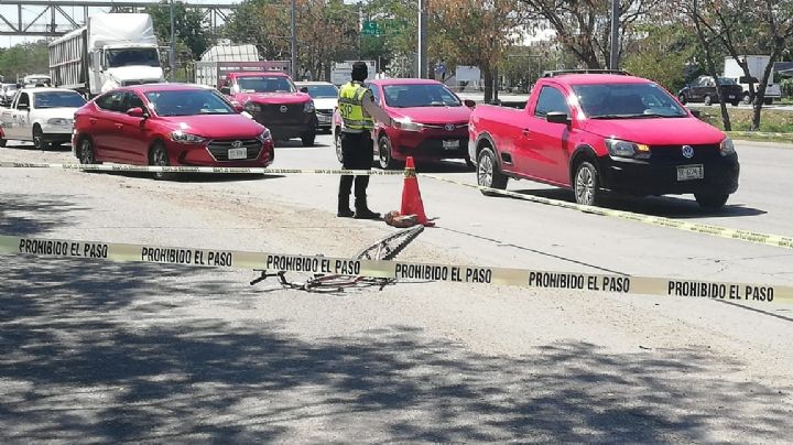 Ciclista muere atropellado en el Periférico de Mérida
