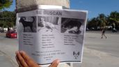 ¡Alerta! 'Empresas' lucran con la desaparición de mascotas en Cancún