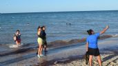 Restringen paso a bañistas a la playa de Progreso por ataque de medusas; hay más de 50 casos
