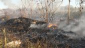 Inician brigadas contra incendios forestales en Campeche