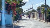 Vecino derriba un árbol y deja sin luz a varias familias en Campeche