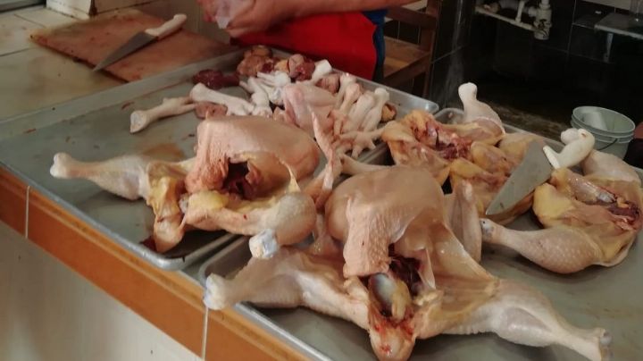 Precio del pollo y huevo aumentaría en la zona maya de Quintana Roo por gripe aviar