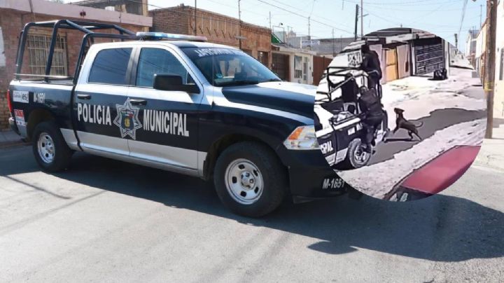 ¡Cuidado con el perro! Pitbull evita la detención de sus dueños en Coahuila