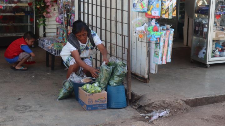 Aumenta el precio de la pepita en Peto; se vende hasta en 100 pesos el kilo