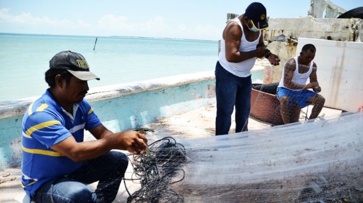 Restricciones de Pemex "golpea" a la actividad pesquera en Isla Aguada, Campeche