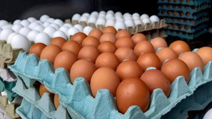 Aumenta el precio de la pieza de huevo en Cozumel