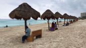 Cerca de 200 visitantes disfrutan de Playa Delfines en Cancún: EN VIVO