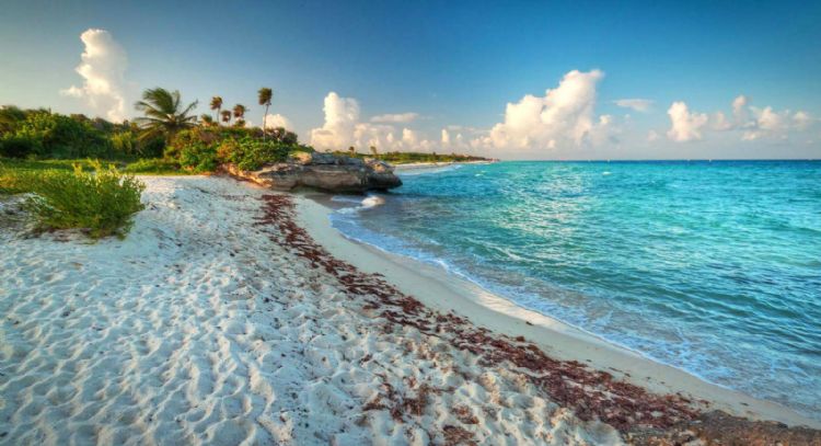 ¿Cuáles son las mejores playas de Campeche?