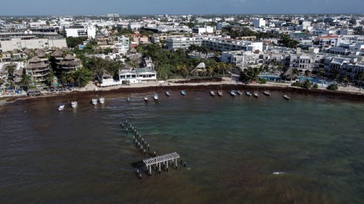 Quintana Roo: Se triplica el recale de sargazo durante el 2023