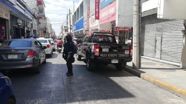 Operativo federal sorprende a 'tiendas chinas' en el Centro de Mérida: EN VIVO