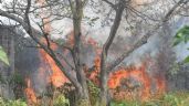 Campeche suma más de 100 incendios en lo que va del 2023: Seproci
