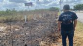 Inicia intensa temporada de incendios con 190 reportes en Yucatán