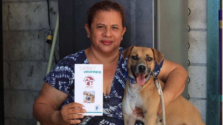'Chino', el perrito guardián de Chichén Itzá, ya tiene un hogar