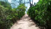 Habitantes de Playa del Carmen rechazan privatizar predio costero por Derimar