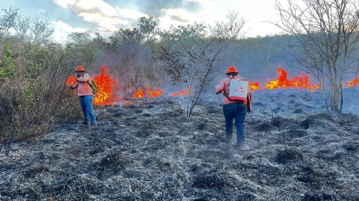 Incendio de más de 12 horas devastó 300 hectáreas de Mundo Maya, Yucatán