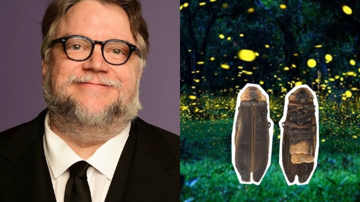 ¿Cómo se llama y dónde se encuentra la luciérnaga en honor al cineasta Guillermo del Toro?