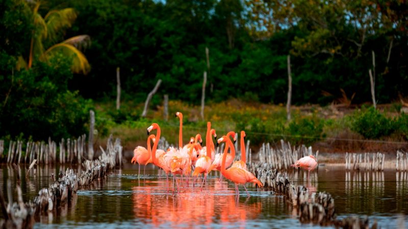 Cinco destinos para hacer ecoturismo en Yucatán esta Semana Santa