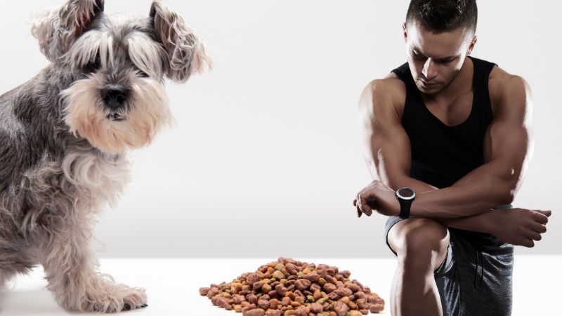 Se vuelve viral por comer croquetas de perro para aumentar su masa muscular: VIDEO