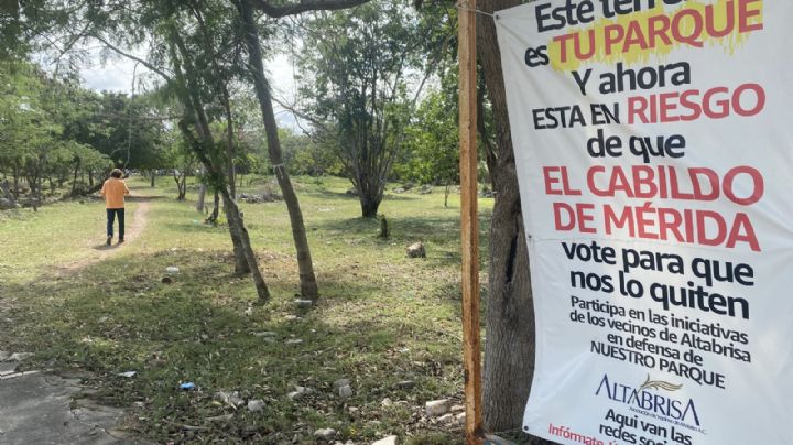 Parque Tho': Sin aval del INAH, Renán Barrera busca construir sobre vestigios mayas