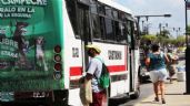 Diputada justifica mal estado de los camiones en Campeche