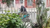 Exhiben a motociclista que toma fotografías a viviendas de Campeche