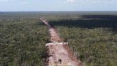 AMLO anuncia construcción de caminos entre zonas arqueológicas y Tren Maya