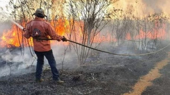 Incrementan los incendios en Quintana Roo durante el 2023