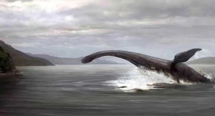 Revelan nueva evidencia de que sí existe el "monstruo del lago Ness"