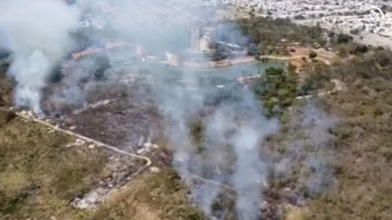 Se registra un incendio en el Parque Zoológico Animaya en Mérida
