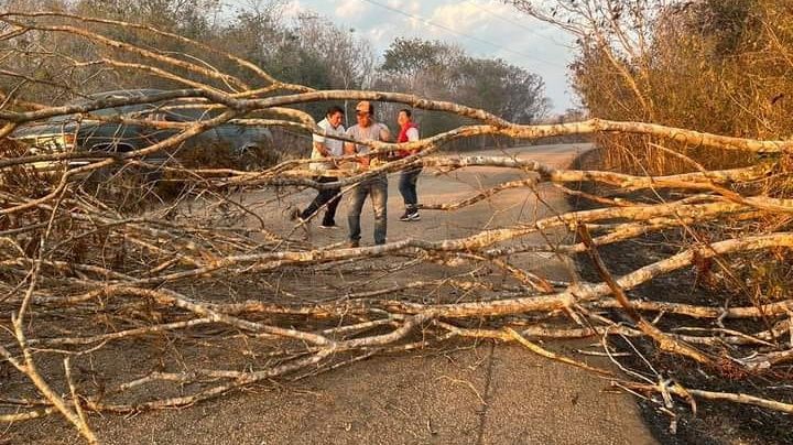 Incendio provoca la caída de árboles en Hopelchén; bloquean la carretera