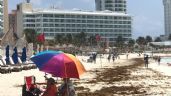 Surada ahuyenta a bañistas de las playas de Cancún: EN VIVO