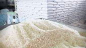 Buscan recuperar producción de arroz de buena calidad en Campeche
