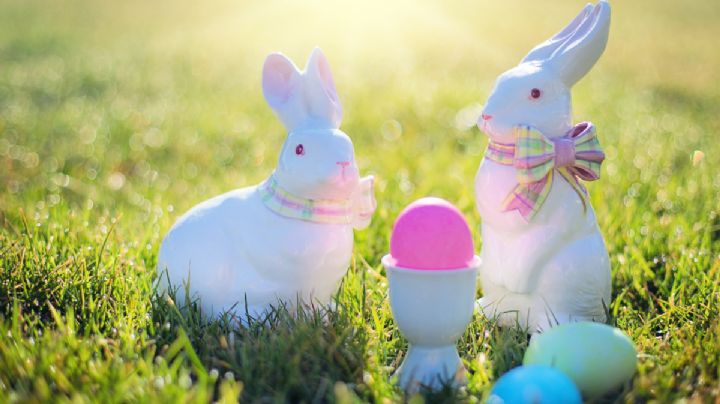 Decomisan conejos de Pascua hechos de éxtasis: FOTO