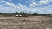 Tren Maya en Quintana Roo: Inicia el despeje de vía rumbo a la carretera Chetumal-Bacalar