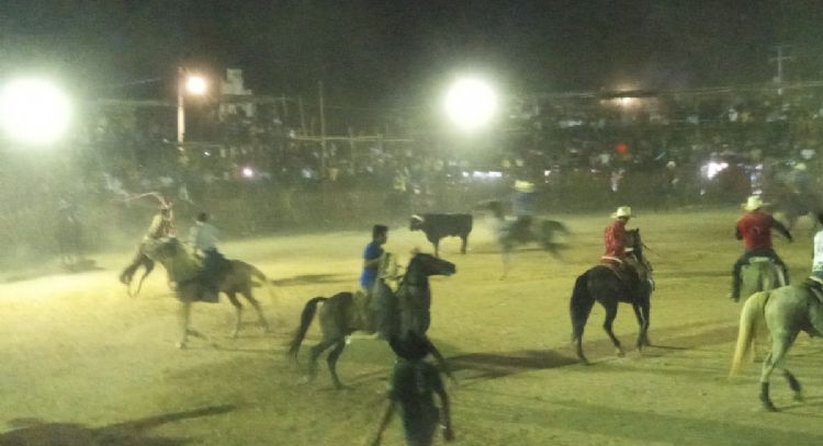 Fiestra tradicional de Baca termina con pleitos entre vaqueros y caballos destripados