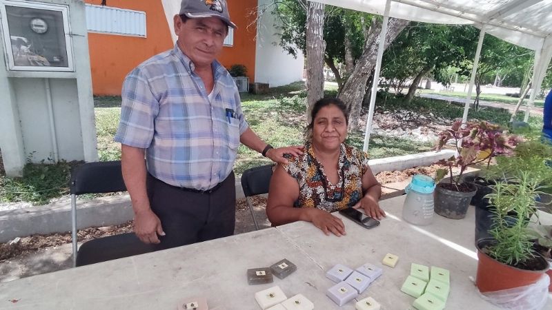 Tren Maya en Quintana Roo: Obra férrea activa economía en Playa del Carmen