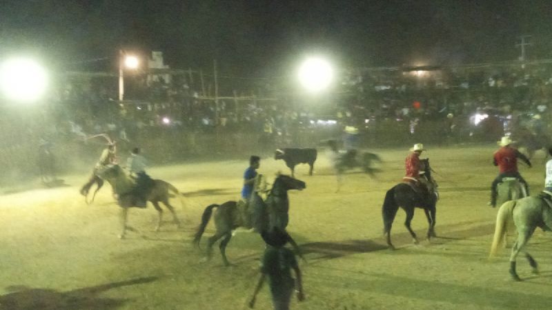 Fiesta tradicional de Baca termina con pleitos entre vaqueros y caballos destripados