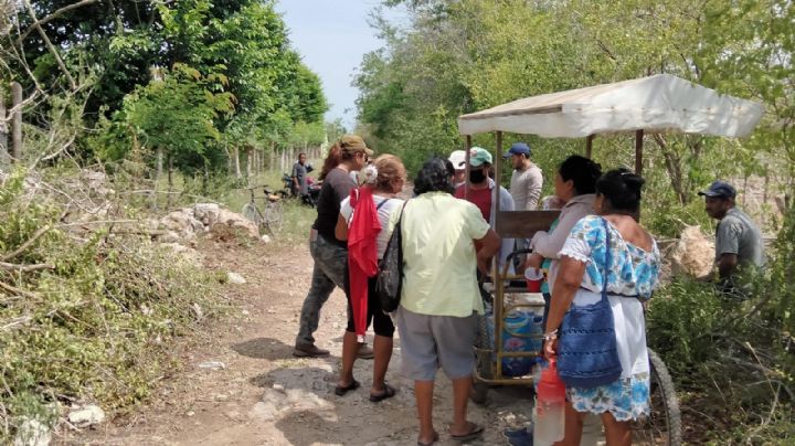 Vecinos de Hunucmá se organizan para defenderse de Bachoco; los respaldan organizaciones