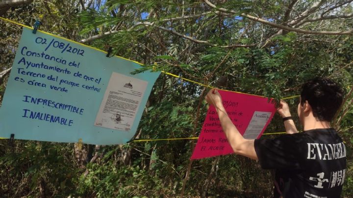 Parque Tho' en Mérida: Renán Barrera mete maquinaria para deforestar pese a acuerdos