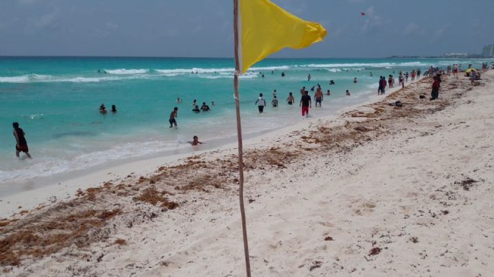 Playas de Cancún registran una afluencia regular de bañistas: EN VIVO