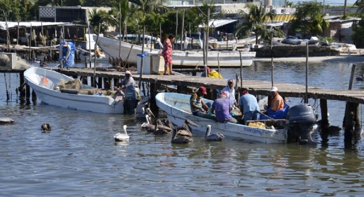 Ambientalistas acusan a pescadores de Ciudad del Carmen por las muertes de delfines y tortugas